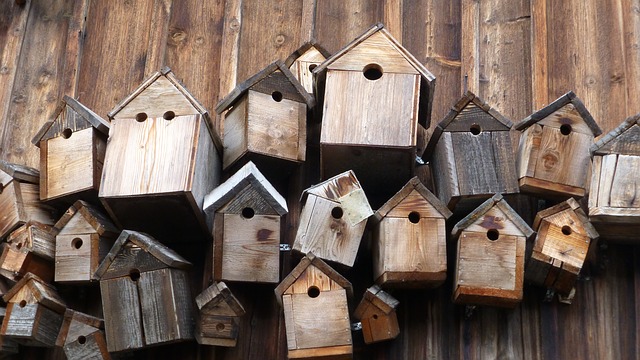 birdhouses